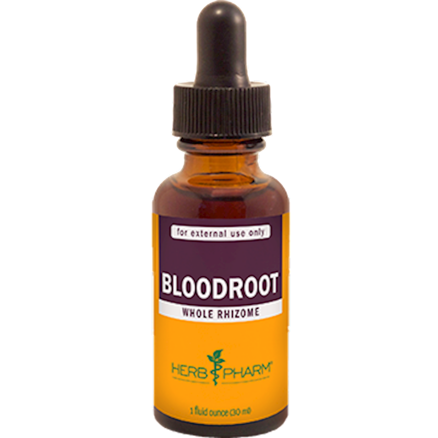 Bloodroot