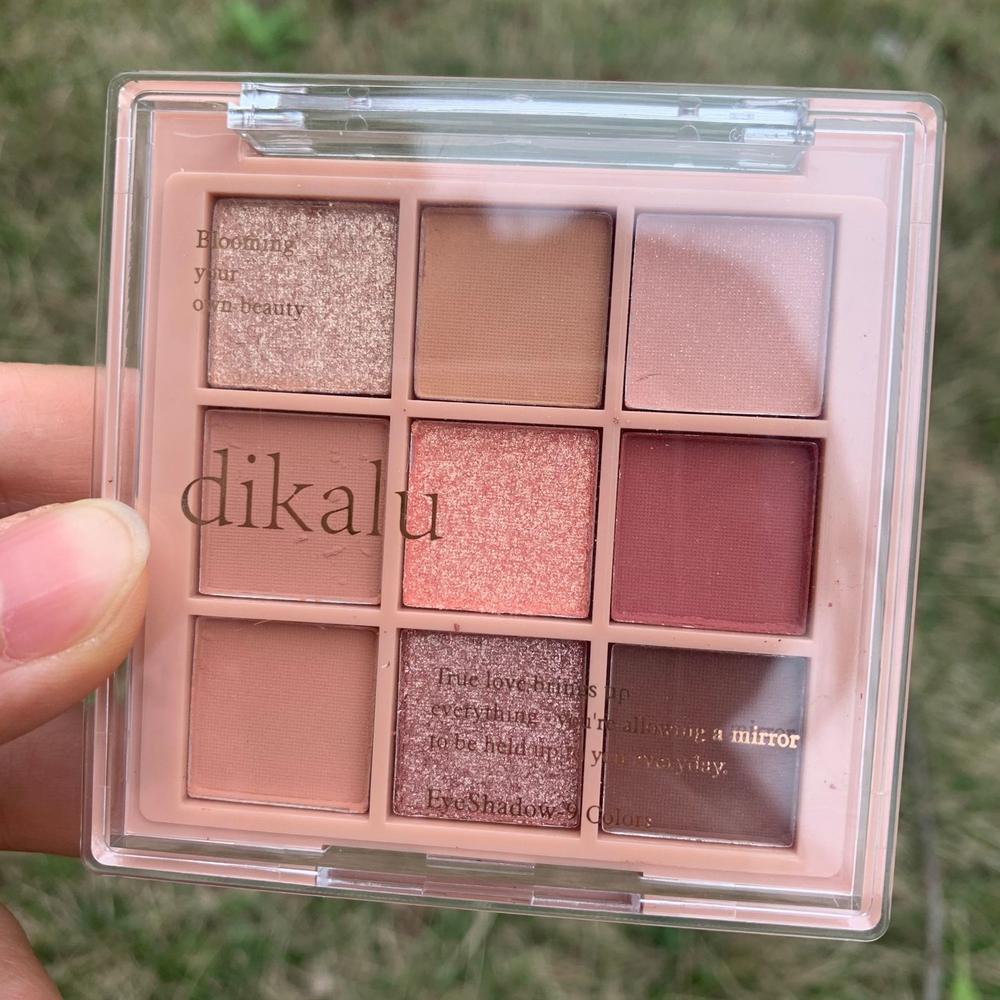 16 Color Eye Shadow Matte Pearlescent Powder Palette
