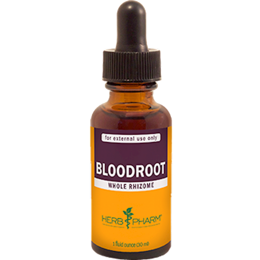 Bloodroot