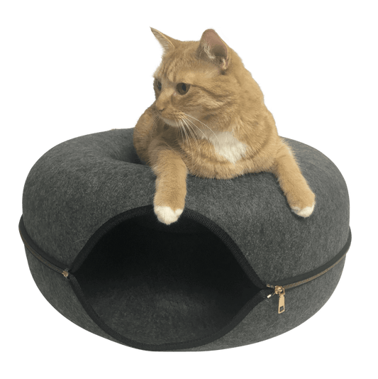 "Donut!" Cat Hideaway Cave